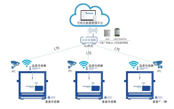 蜂箱解决方案