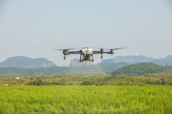 无人机技术在农业中的应用