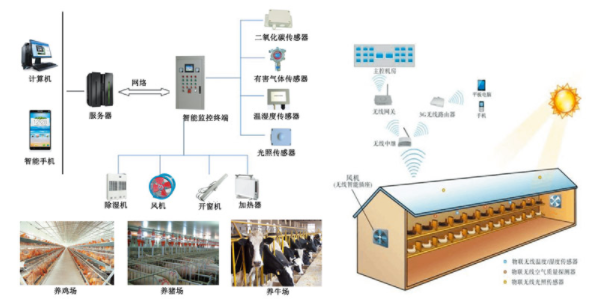 智慧畜牧养殖环控系统