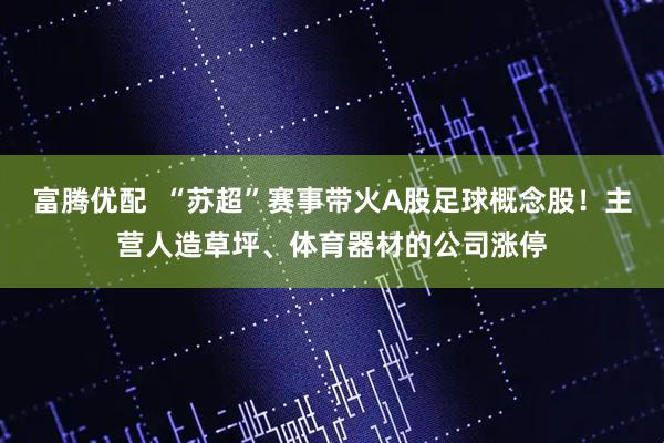 富腾优配  “苏超”赛事带火A股足球概念股！主营人造草坪、体育器材的公司涨停