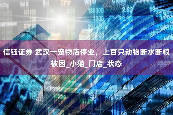 信钰证券 武汉一宠物店停业，上百只动物断水断粮被困_小猫_门店_状态