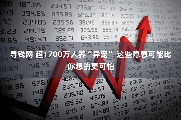 寻钱网 超1700万人养“异宠” 这些隐患可能比你想的更可怕
