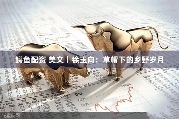 鳄鱼配资 美文丨徐玉向：草帽下的乡野岁月