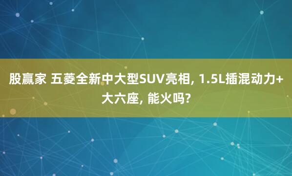 股赢家 五菱全新中大型SUV亮相, 1.5L插混动力+大六座, 能火吗?